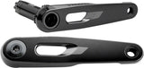 SRAM Rival Crank Arm Assembly - 165mm 12/13-Speed 8-Bolt Direct Mount DUB Spindle Black E1