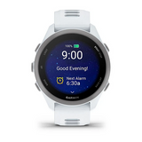 Garmin Forerunner 170 Whitestone with Whitestone/Cloud Blue Band