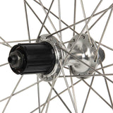 Sta-Tru, 700X20-25 Alloy QR SS 32H, Wheel, Rear, 700C / 622, Holes: 32, QR, 130mm, Rim, Shimano HG