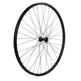 Varia, Alex AP18 Front Wheel, 700c, 36H, DT Stainless Spokes, Wheel, Front, 700C / 622, Holes: 36, QR, 100mm, Rim