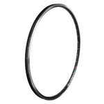 Rim Dt 700C 622X19 535 36 Bk Msw