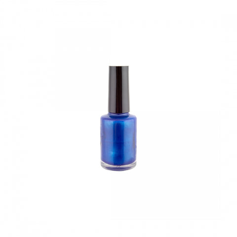 Bike Touch-Up Paint Blue Pearl Ys763