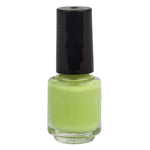 Bike Touch-Up Paint Key Lime Pantone 374C