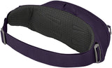 Osprey Daylite Waist Pack - Purple One Size