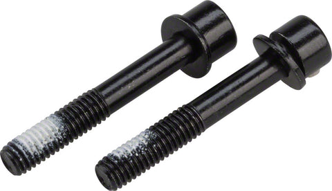 TRP Mounting Bolts for Flat Mount Rear Caliper 32mm