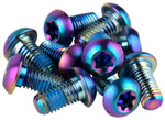 SRAM Titanium T25 Rotor Bolt Kit Rainbow Set of 12