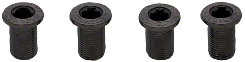 RaceFace Chainring Bolt Pack Set of 4 12.5mm Bolts Black