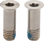 Campagnolo Rear Derailleur Pulley Bolt Set for CH EPS/CH/AT/CE/CT