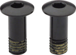 Campagnolo Rear Derailleur Pulley Bolt Set for SR EPS/80th/SR/RE/AT