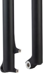 RockShox Lower Leg Lyrik B1/Yari 29 15X100 Diffusion Black