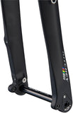 Ritchey WCS Carbon Adventure Fork 11/8 Thru A XLe Flat Mount