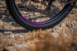 Stan's No Tubes Flow EX3 Rim Decal 29 Purple Set