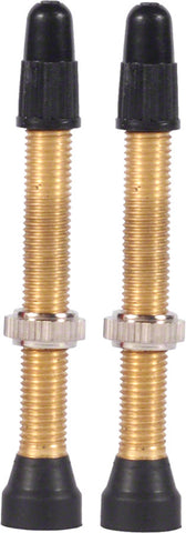 WTB Brass TCS Valve 46mm Pair