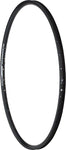 Alex DC19 Rim 700 Disc Black 36h Clincher