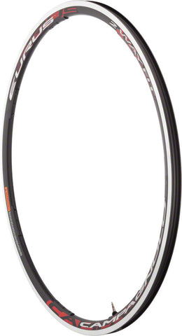 Campagnolo Eurus Rim 700 Rim Black 21H 2Way Front
