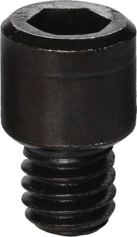 Park Tool 116S Cap Screw for 1003C Profesional Clamp