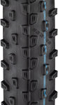 Schwalbe Racing Ray Tire 29 x 2.25 Tubeless Folding Black Evolution Line