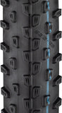 Schwalbe Racing Ray Tire 29 x 2.25 Tubeless Folding Black Evolution Line