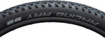 Schwalbe Racing Ray Tire 29 x 2.1 Tubeless Folding Black EvolutionLine