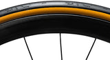 ENVE Composites SES Tire 700 x 25c Tubeless Folding Tan