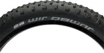 Schwalbe Jumbo Jim Tire 26 x 4 Tubeless Folding Black Evolution Line