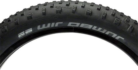 Schwalbe Jumbo Jim Tire 26 x 4 Tubeless Folding Black Evolution Line