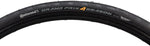 Continental Grand Prix 4Season Black Edition Tire 700 x 28 Clincher Folding