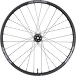 Spank Wing 22 Front Wheel 29 12/QR x 100mm 6Bolt Black