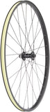 Quality Wheels Value Double Wall Series Disc Front Front Wheel 700 12 x