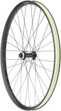 Quality Wheels MTB EBike Alex EM30 Disc Front Wheel 29 15 x 110mm