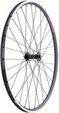 Quality Wheels 105/A23 Front Wheel 650c QR x 100mm Rim Brake Black