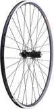 Quality Wheels 105/A23 Rear Wheel 650c QR x 130mm Rim Brake HG 11 Black