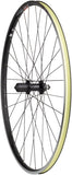 Quality Wheels WTB Dual Duty i19 TCS Rear Wheel - 700 QR x 130mm Rim Brake