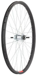 Sta-Tru Double Wall Rear Wheel - 26 Bolt-On 3/8 x 110mm Coaster Brake Black